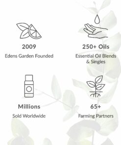 Edens Garden Immunity Essential Oil Synergy Blend, 100% Pure Therapeutic Grade (Undiluted Natural/Homeopathic Aromatherapy Scented Essential Oil Blends) 10 ml 10 ml (.33 fl oz) 14 71xdo7Fx4vL 4