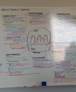 Dry Erase Markers for Whiteboard – Ultra Fine Tip White Board Markers – Dual Tip, Pastel Colors - Fine Point Erasable Markers - 12 Set 32 71xe2bMCO9L