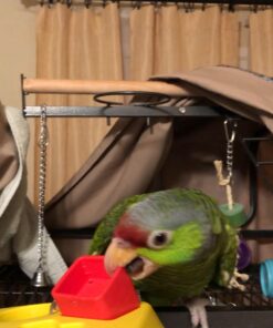 Fisher-Price Baby's First Blocks 25 71xiuuBtolL