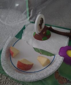 Butterfly Garden: Farm Habitat and Live Cup of Caterpillars – Life Science & STEM Education Butterfly Farm 45 71xk09XoTwL