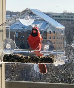 Nature Gear Window Bird Feeder - Refillable Sliding Tray - Weather Proof - Snow and Squirrel Resistant - Drains Rain Water - See Songbirds from Home! (House Style) (House Model) House 40 71xkppGNkoL
