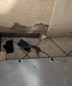 Kat Sense Rat Traps That Work Indoor & Outdoor for Instant Kill Results, Set of 8 Large Reusable Snap Traps for Mice Chipmunks 'N Squirrels 8 Piece 36 71xkucs9mzL