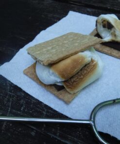 Tapirus Marshmallow Roasting Sticks | Set of 4 Extra Long Retractable Campfire Sticks | Protect Kids with Insulated Handles | Extendable Smore & Hot Dog Skewers | Heavy Duty Metal Camping Accessory 61 71xkxRecqlL