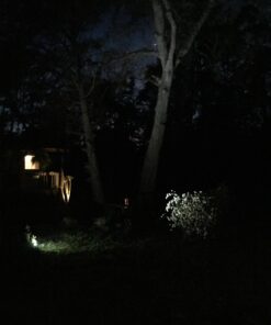 LemonBest 2pcs LED Landscape Garden Wall Yard Path Pond Flood Spot Light Outdoor IP65 Decorative Lamp Cool White 12V 40 71xnvbwaChL