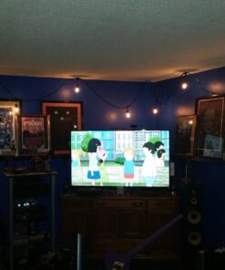 Feit Electric 72041 30 Foot Heavy-Duty Weather Resistant Decorative Indoor and Outdoor 10 Sockets Incandescent String Lights, 30', 11W, Dimmable,Black 30 ft (Pack of 1) 29 71xnznpd1bL