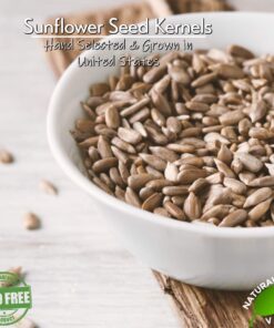 GERBS Raw Sunflower Seed Kernels 14oz. | Grown in USA & Packaged in Resealable Bulk Bag | Keto & Paleo |Allergen Friendly | Packed with Protein & Omega Fats | Gluten Peanut Tree Nut Allergy Free 14 Ounce (Pack of 1) 14 71xpFNKdGML