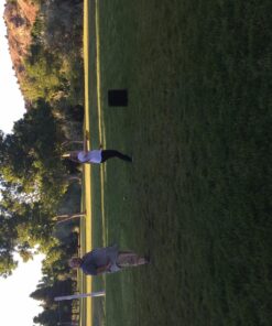 Kan Jam Disc Toss Game - American Made Outdoor Game for The Backyard, Beach, Park, Tailgates - Original, Illuminate, Pro, Travel Edition, and Carry Bag Only The OG 49 71xqhTtyXL