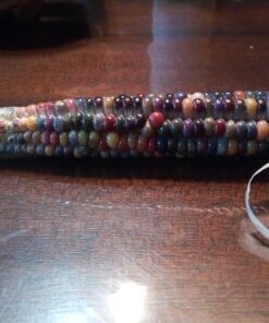 Glass Gem Indian Corn Heirloom Seed - The Most Beautiful Corn in the World! 58 71xrEuQpokL