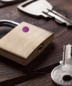 ChromaLabel 0.25 Inch Round Label Permanent Color Code Dot Stickers, 1000 Labels per Roll, Purple 14 71xs9YEAlvL