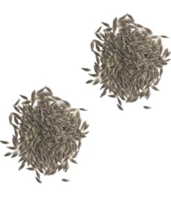 Organic Iceberg Lettuce Seeds ‘Crispino’ – Two Seed Packets! – Over 600 Open Pollinated Non-GMO Seeds – Sweet Yards Seed Co. Two-Pack 7 71xwHdAjPNL