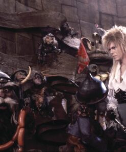 Labyrinth DVD October 5, 1999 8 71xwdlFMCuS