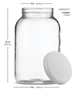 Paksh Novelty 1-Gallon Glass Jar Wide Mouth with Airtight Metal Lid - USDA Approved BPA-Free Dishwasher Safe Large Mason Jar for Fermenting, Kombucha, Kefir, Storing and Canning Uses, Clear (1 Jar) Metal Lid, 1 Pack 27 71xwePbaxjL