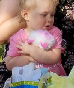 Pomsies Patches Plush Interactive Toys, White/Pink/Mint, Model:01883 19 71xxEGxq fL