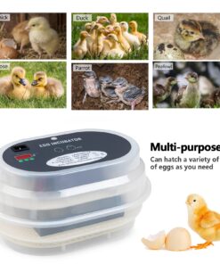 HBlife Digital Egg Incubator for Hatching 9-12 Chicken, Quail and Duck Eggs, with Fully Automatic Egg Turning and Temperature Display, Hatcher for Turkeys, Birds, Parrots and Poultry 33 71xxmg536lL
