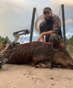 Swhacker SWH00207 #207 2 Inch Cut Broadheads Set of 3-100 Grain, Green, 2" 48 71xygb83ljL