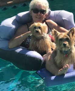 Swimline Inflatable Durable Fabric Swimming Pool Floating Lounger Chair with Armrest, Backrest, and Built-in Cupholder for Adults and Kids, Blue 19 71xz2kL8d9L