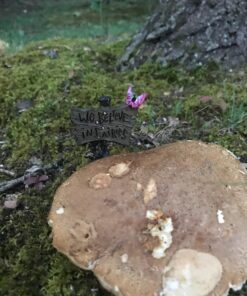 Georgetown Home & Garden Miniature Butterfly Sign We Believe in Fairies Garden Decor 20 71y0b4kq5NL