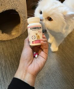 Nutramax Cosequin Joint Health Supplement for Cats - With Glucosamine and Chondroitin, 55 Capsules 28 71y4MawifL