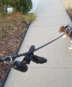 Amazon Basics Standard Dog Poop Bags With Dispenser and Leash Clip, Unscented, 300 Count, 20 Pack of 15, Black, 13 Inch x 9 Inch 15 Count (Pack of 20) 31 71y6kGPE38L