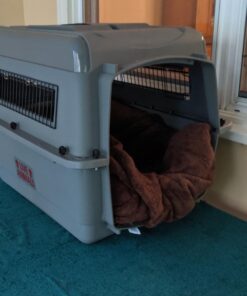 Petmate Sky Kennel Pet Carrier, 28 Inch, Made in USA 24.3"L x 18.3"W x 19.5"H 54 71y7ktqW3RL