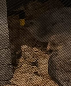 Alternative view of Olba B.V. Plastic Drinking Bottle with Hinged Lid, 1 Litre