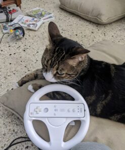 Mario Kart Wii 29 71yBeESb0ML