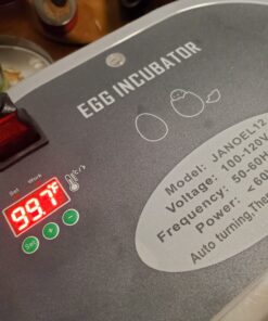 HBlife Digital Egg Incubator for Hatching 9-12 Chicken, Quail and Duck Eggs, with Fully Automatic Egg Turning and Temperature Display, Hatcher for Turkeys, Birds, Parrots and Poultry 60 71yF06Dvh4L