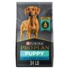 Purina Pro Plan Large Breed Dry Puppy Food, Chicken and Rice Formula - 34 lb. Bag Chicken & Rice 34.00 Pound (Pack of 1) 42 71yGrCTcn5L