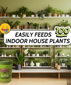 EarthPods Organic Indoor Plant Fertilizer Spikes – All Purpose House Plant Food Sticks (100 Concentrated Capsules) – Potted Plants – Best Gardening Gifts for Women – Made in USA Indoor Plant Food Fertilizer 47 71yKKjNk1HL 1