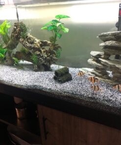 API AQUARIUM SALT Freshwater Aquarium Salt 67-Ounce Box (Packaging May Vary) 67 oz Aquarium Treatment 42 71yLdhNbrSL