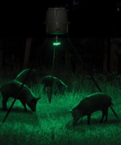 Moultrie Feeder Hog Light | 35 LEDs | 4-Way Switch | Attaches to Most MOU Feeders, Black, 1 pack 14 71yRDVwKd6L