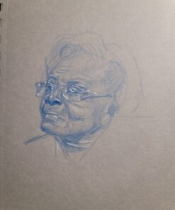 Prismacolor Col-Erase Erasable Colored Pencils, 24 Pack 24 Count (Pack of 1) 43 71yRWfKdXxL