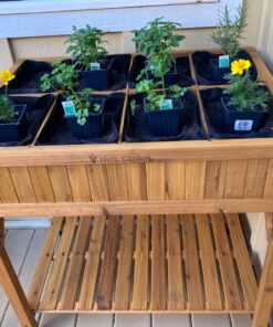 VegTrug 8 Pocket Herb Garden Brown 55 71ySWAOFrLL