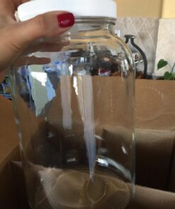 1-gallon USDA Fermentation Glass Jars, Set of 4 5 71ySqSkbuvL