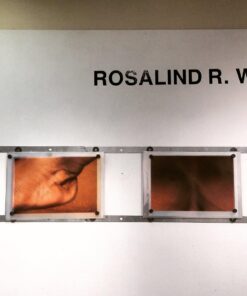 25 Round Disk Magnets Crafts Home Office Part 3/4" 12 71yTJg3lqrL