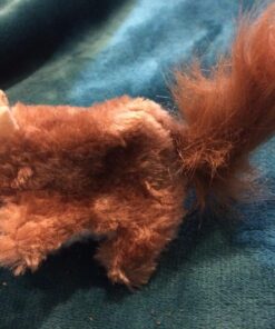 KONG Squirrel Catnip Toy Brown 20 71yTmSwxsmL