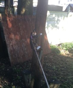 FLEXI New Classic Retractable Dog Leash (Cord), 26 ft, Small, Black Small Cord, 26-Feet 12 71yUfBDthnL