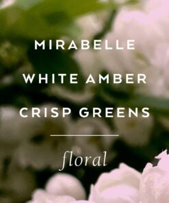 Lollia Fine Bathing Salts, 20 oz. – Bath Essential for Women, Bathtub Accessories, Relaxing Bath Salts for Women, Bath Products, Scented Luxury Bath Salts Elegance 15 71yV49RkW3L