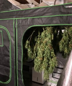 VIVOSUN S848 4x8 Grow Tent, 96"x48"x80" High Reflective Mylar with Observation Window and Floor Tray for Hydroponics Indoor Plant for VS4000/VSF4300 Black 96"x48"x80" 44 71yWmNCLnOL