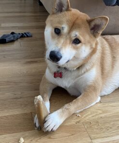 Purina Busy Bone Made in USA Facilities, Long Lasting Small/Medium Breed Adult Dog Chews, Peanut Butter Flavor - 6 ct. Pouch 6 Count (Pack of 1) 25 71yY4apY9xL