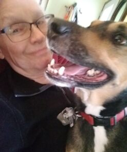 Old Mother Hubbard by Wellness Classic P-Nuttier Natural Dog Treats, Crunchy Oven-Baked Biscuits, Ideal for Training, Mini Size, 20 ounce bag Mini Biscuits Peanut Butter 1.25 Pound (Pack of 1) 44 71yZ0u rh4L