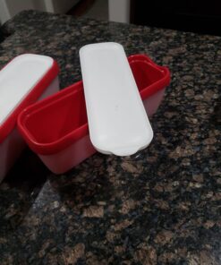 StarPack Long Scoop Reusable Ice Cream Containers with Lids (2-Pack) - Ice Cream Container for Home Made Ice Cream Storage, Soup & Food Storage - Durable Ice Cream Freezer Containers with Style! 2 Pack Cherry Red 43 71yZRVkY4UL 1