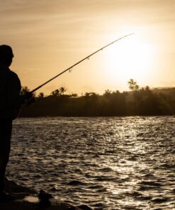 Nikon D750 w/ 24-120mm Lens 57 71yZej6QyL