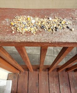 Kaytee Backyard Wildlife Food Blend For Wild Squirrels, Chipmunks, Rabbits and Other Backyard Wildlife, 5 Pound 5 Pound (Pack of 1) 30 71yafeLGoeL