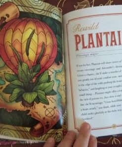 The Illustrated Herbiary: Guidance and Rituals from 36 Bewitching Botanicals (Wild Wisdom) Hardcover, Illustrated 42 71yeG4yHuCL 1