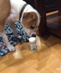 VETRISCIENCE Perio Support Teeth Cleaning Dental Powder for Dogs and Cats, Up to 192 Servings – Clinically Proven to Reduce Plaque and Tartar Perio Powder 26 71yfIHBMKSL