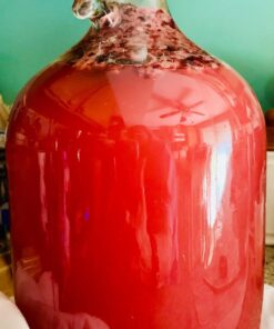 Twin Bubble Airlock and Carboy Bung (Pack of 2) 35 71yfr9T6gCL