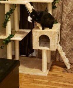Go Pet Club Cat Tree, 50W x 26L x 72H, Beige 57 71yg5U8rK8L