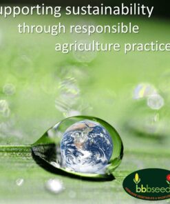 Hummingbird Nectar Wildflower Seeds Bulk Open-Pollinated Wildflower Seed Mix Packet, Non-GMO, No Fillers, Annual, Perennial Wildflower Seeds Year Round Planting - 1 oz 63 71yk5dvd5L