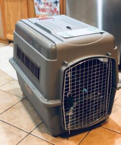 Petmate Sky Kennel Pet Carrier, 32 Inch, Gray, Made in USA 29.5"L x 19.8"W x 23.5"H 43 71yljP120eL